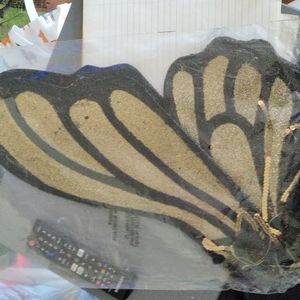 Golden shimmer wings